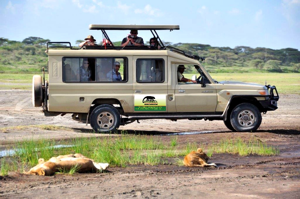 3 day Queen Elizabeth National Park