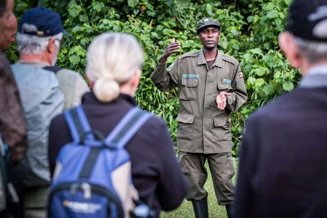 3 Days Gorilla Trekking