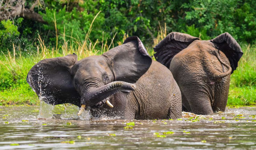12 Best Tourism Destination