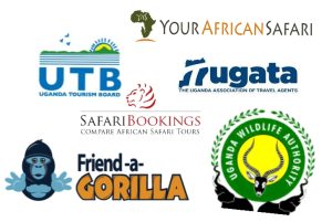 Mountain gorilla trekking Africa