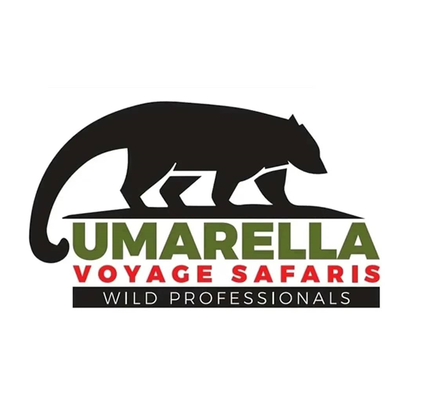 Mountain gorilla trekking Africa