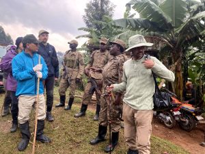 Bwindi Impenetrable National Park