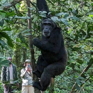 Kibale National Park