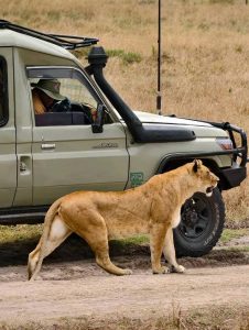 5-Day Gorilla and Game-viewing Uganda