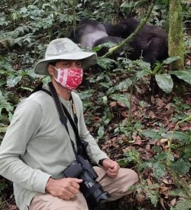 Mountain gorillas in Uganda