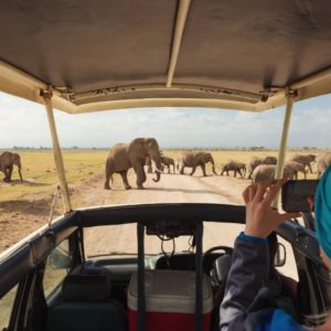 14-day best Uganda family-wildlife adventure tour