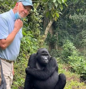 gorilla trekking in Uganda - Gorilla Trekking Permit Cost in Uganda