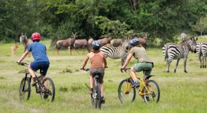 7-Day Affordable Uganda-Family Tour